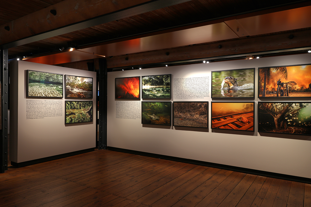 Preview wasser pantanal feuer | água pantanal fogo